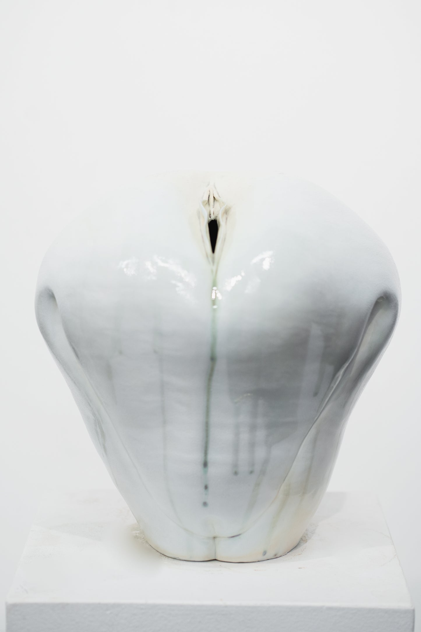 Shaping Style: Next Level Sculptural Handbuilding