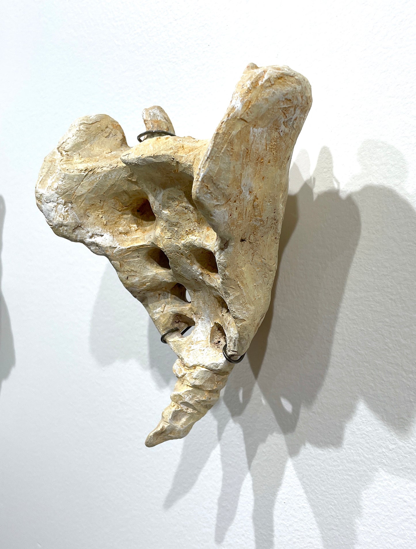 Sacrum