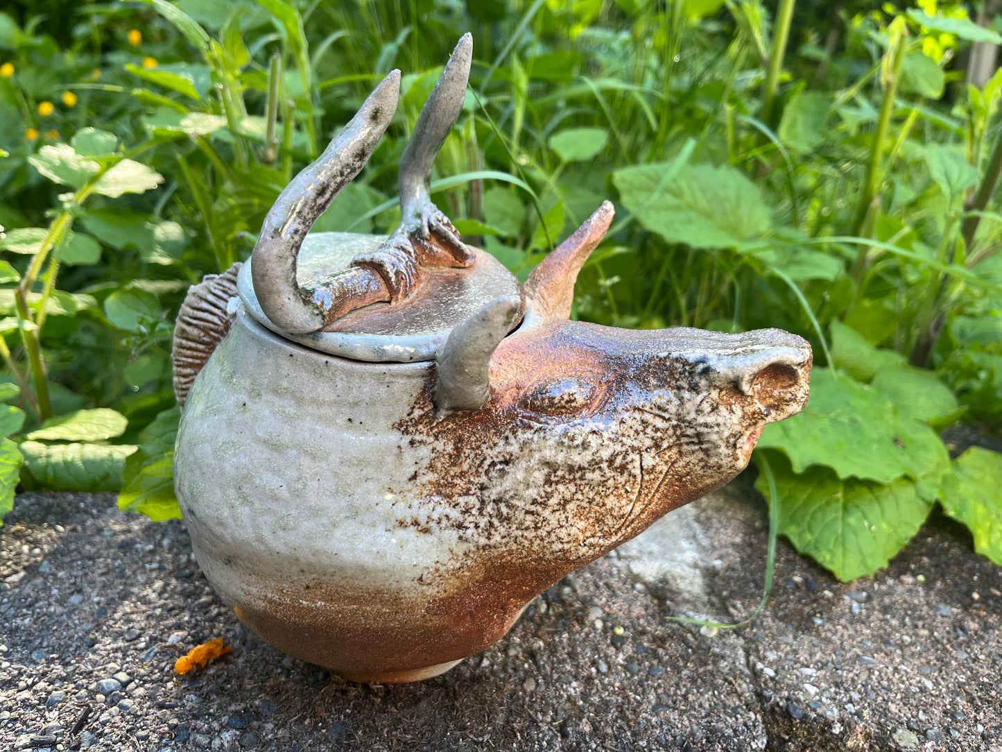 Beginner Hand Building