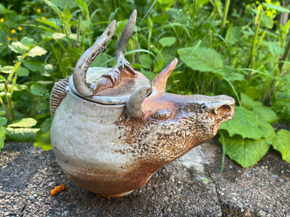 Beginner Hand Building