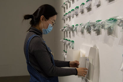 Beginner Wheel Throwing