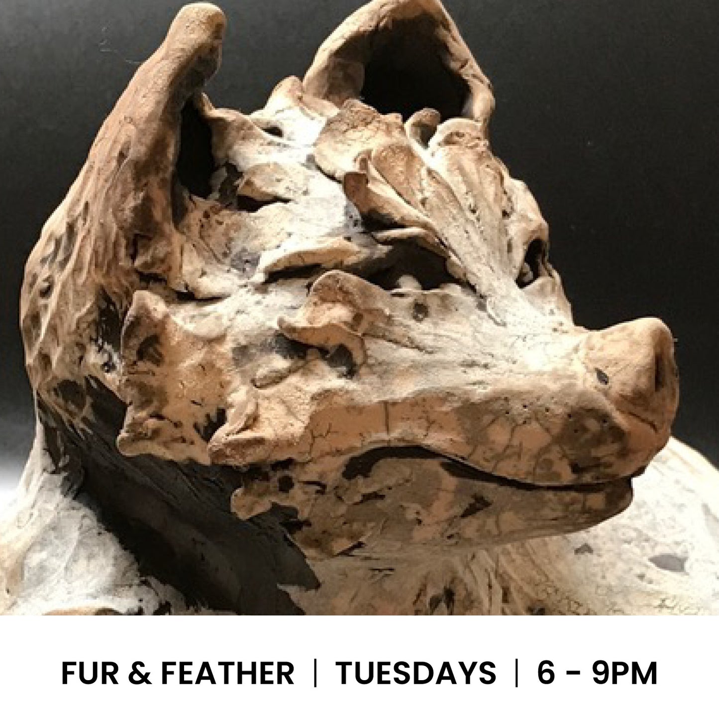 Fur & Feather